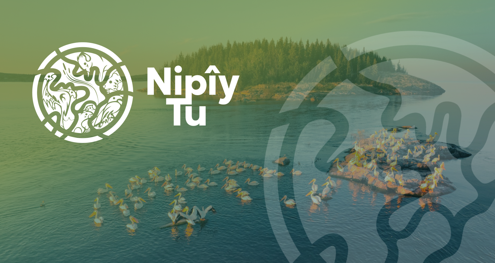 Nipîy Tu logo.