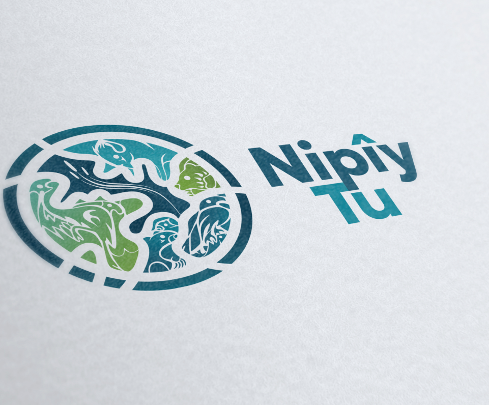 Nipîy Tu logo design on paper