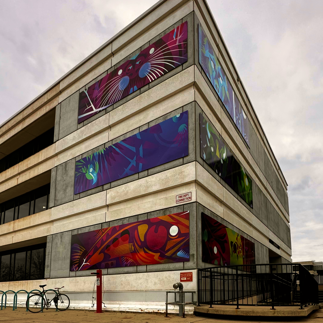 Suite Rrc Building Telling Indigenous Stories with Video - Vincent Design Inc.
