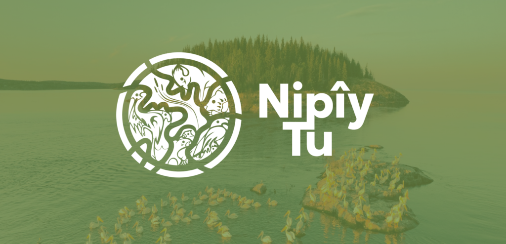 Nipîy Tu Indigenous logo design.