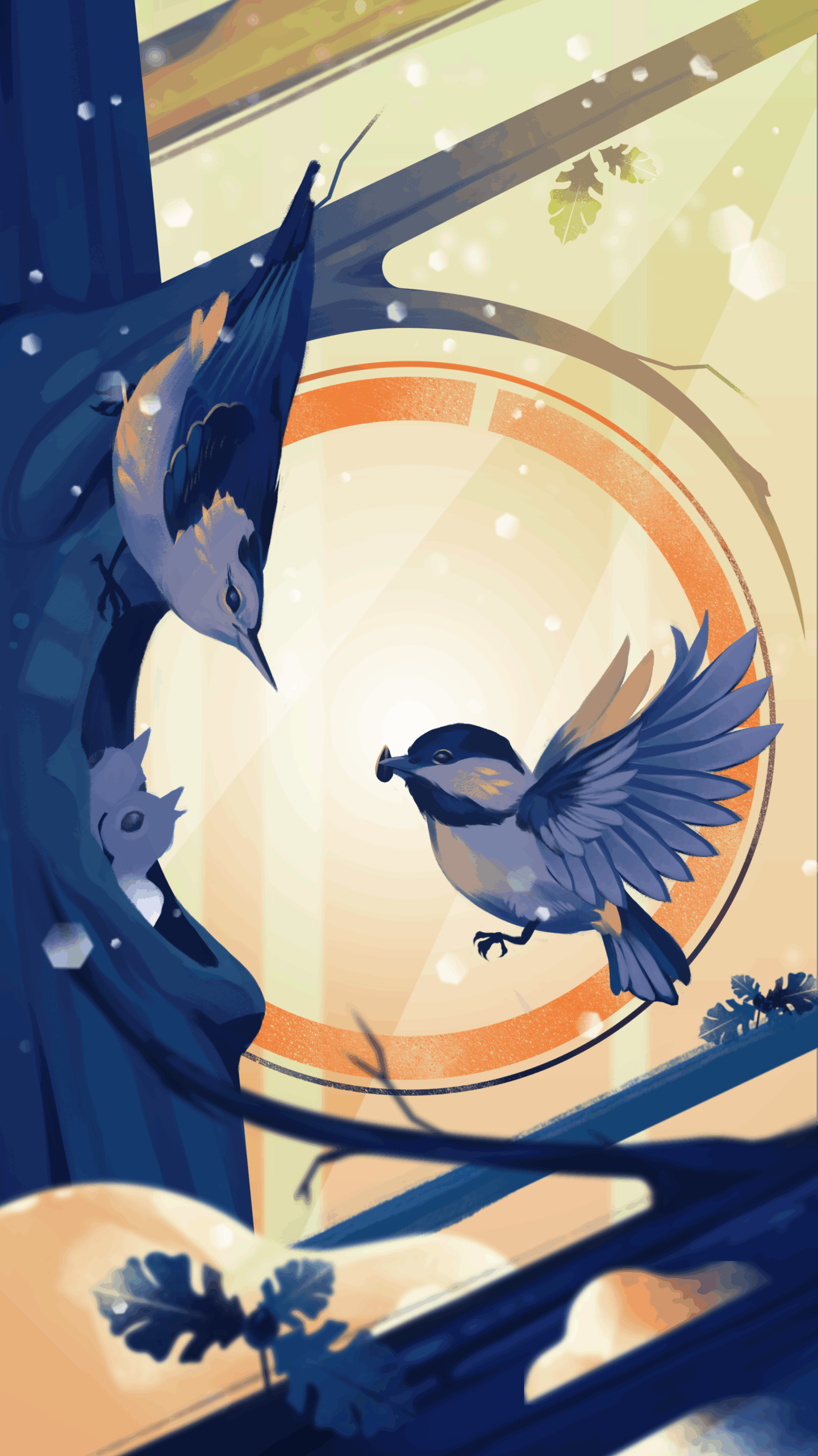 white-breasted nuthatch and black-capped chickadee